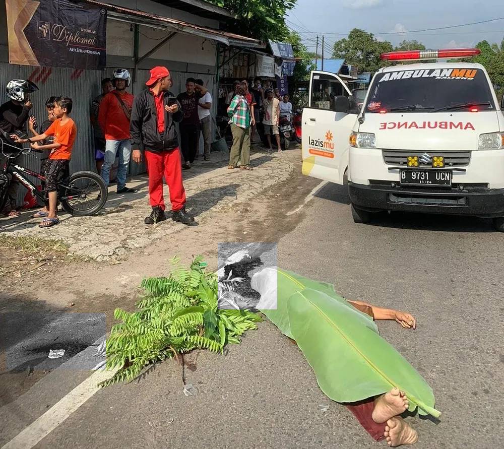 Lalai Berkendara, Bue Asal Desa Pundu Tewas Adu Banteng di Jalan Trans Kalimantan Palangka Raya – Bukit Rawi