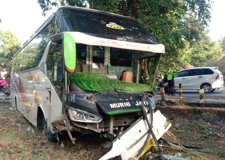 Bus Murni Jaya Ringsek usai Hantam Pohon, 1 Penumpang Dilarikan ke Rumah Sakit