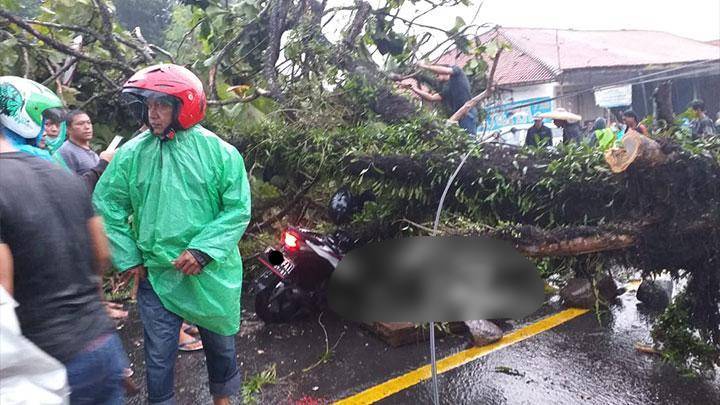 Herman Tewas Usai Motornya Tertimpa Pohon Tumbang di Cikidang Sukabumi