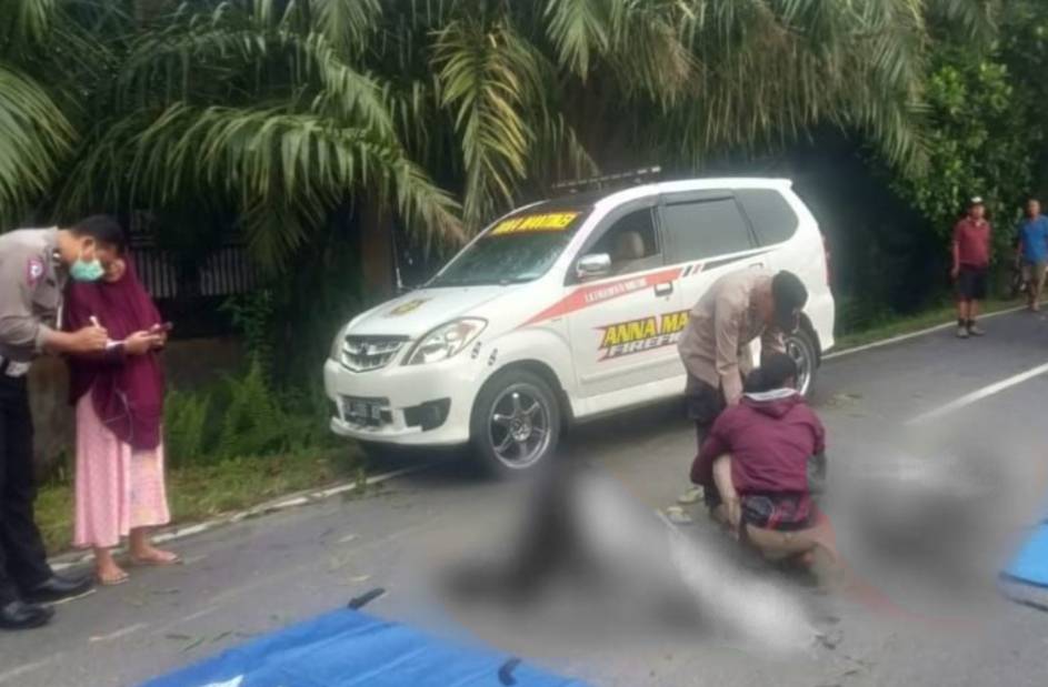 Kecelakaan Dua Pengendara Motor di Palangkaraya Tewas Tabrak Pohon Tumbang