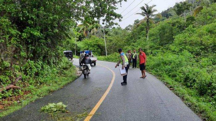 Kecelakaan Ibu dan Anak Tewas usai Terjatuh Lalu Terlindas Truk di Jayapura