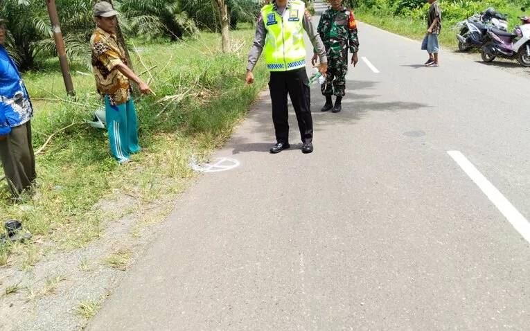 Kecelakaan Mobil CRV Tabrak Dua Siswa SD hingga Tewas di Kawasan Bati-Bati Tanah Laut