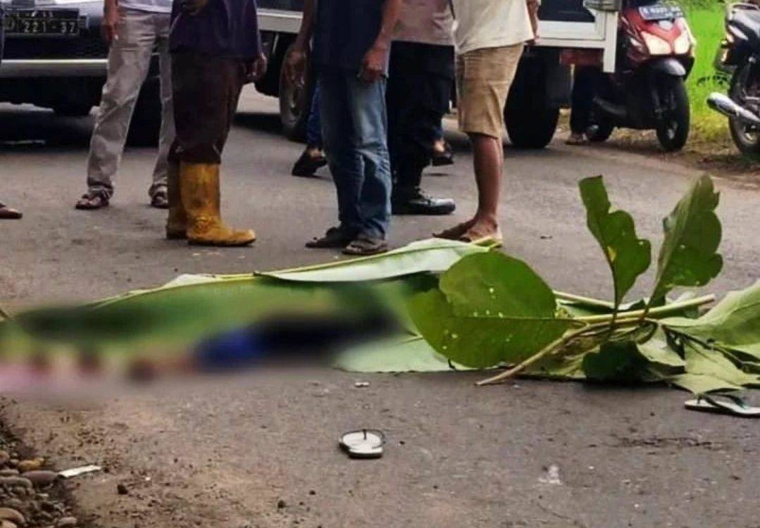 Kecelakaan Motor Yamaha Jupiter vs Honda Karisma di Warungasem Batang, 1 Orang Tewas