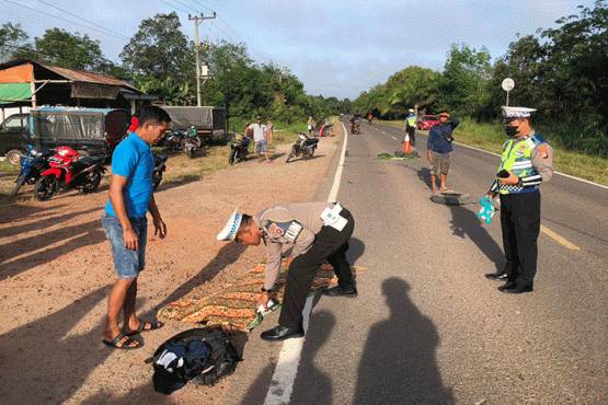 Kecelakaan Pelajar SMP Tewas usai Ditabrak Mobil Pikap di Jalan Jendaral Sudirman Km 26 Kotawaringin Timur
