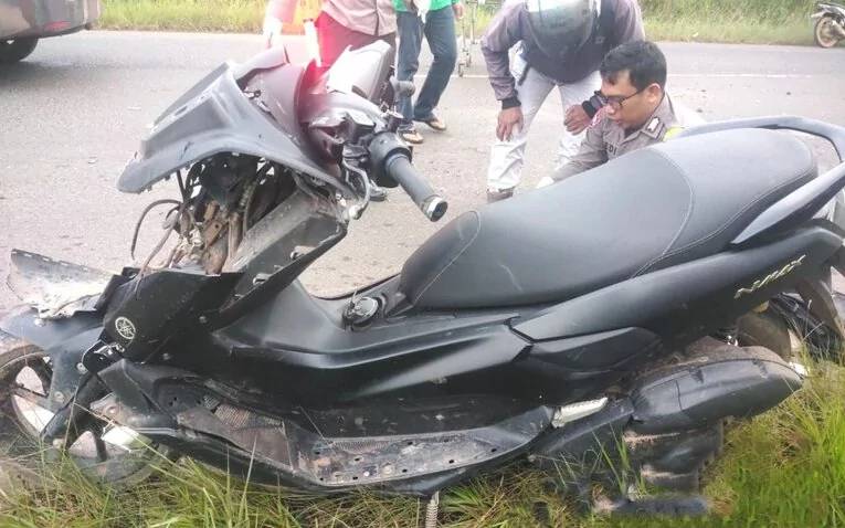 Kecelakaan Pemotor Nmax Tewas usai Tabrak Kerbau Menyeberang Jalan di Tanah Laut
