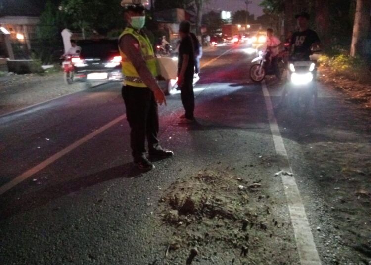 Pemotor Tewas Seketika Usai Adu Moncong dengan Truk Angkut Ayam di Gambiran Banyuwangi