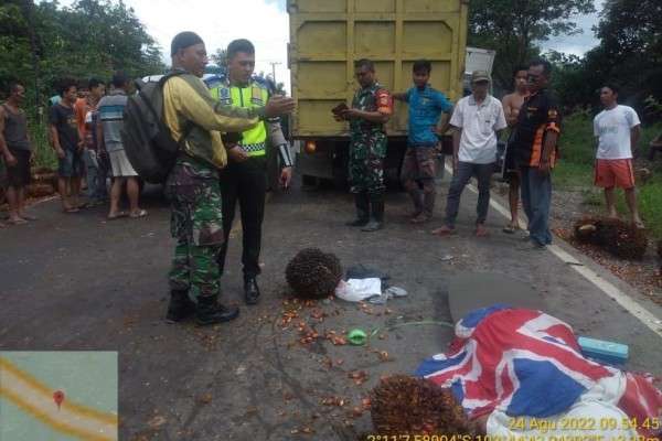 Kecelakaan Truk Box vs Truk Sawit di Jalan Lurus Menurun, Satu Orang Meninggal Dunia, Diduga Hilang Kendali