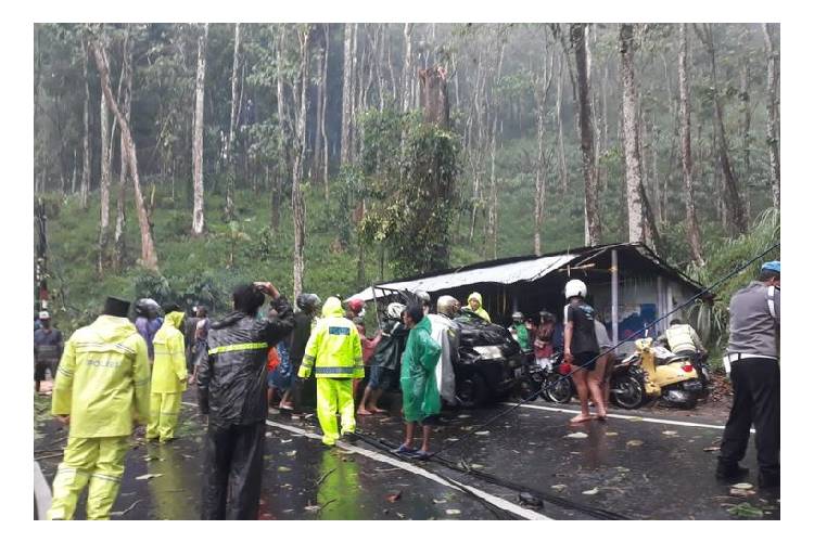 1 Orang Tewas, Mobil dan Motor Tertimpa Pohon di Jalan Raya Malang-Kediri