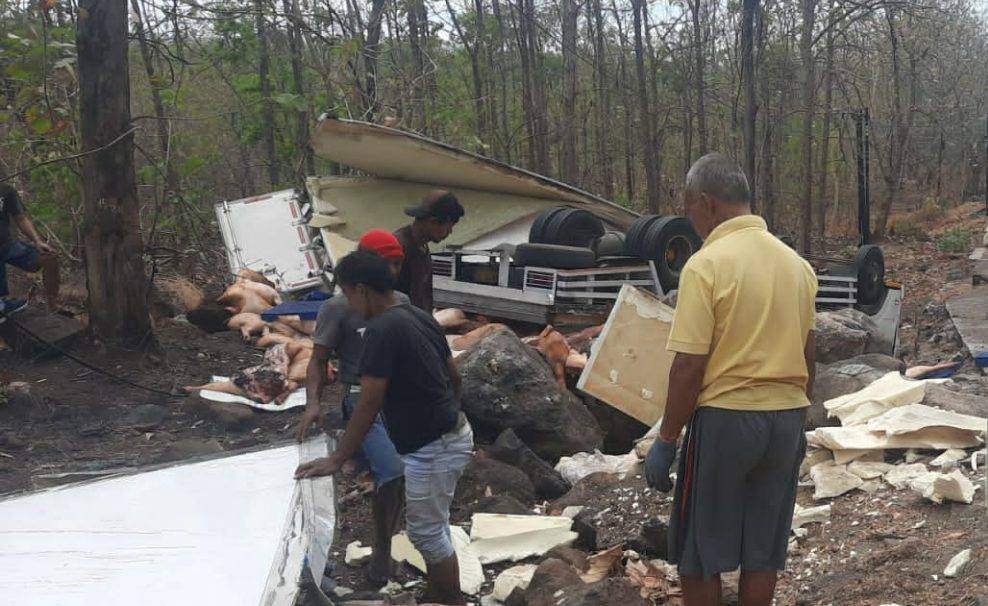 Kecelakaan Tunggal di Situbondo, Truk Box Muatan Daging Babi Terguling di Jalur Pantura Hutan Baluran