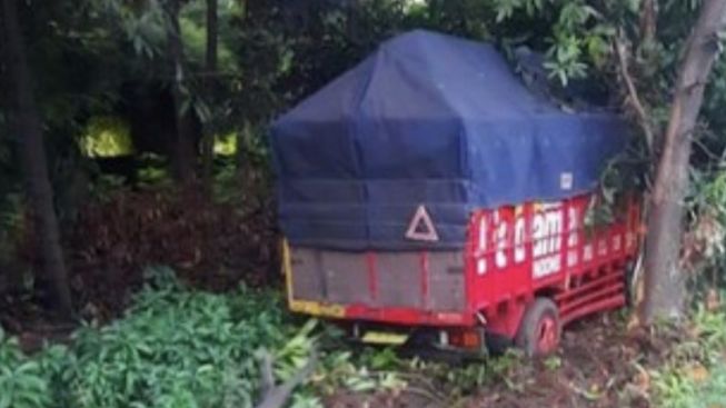 Kecelakaan Tunggal di Tol Jagorawi, Sopir Ngantuk, Sebuah Truk Terperosok Keluar Tol